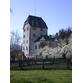 Schloss Schönwörth 3