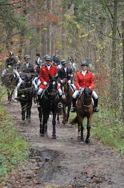 Fuchsjagd (c) Grießenböck