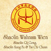 Shaolin Wahnam Wien Logo
