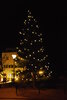 Christbaumabholfung - Unser Service für Sie!