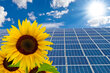 (c) Jrgen Flchle - Fotolia