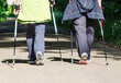 Symbolbild: Zwei Personen beim Nordic Walking auf einer Forststraße