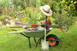 (c) K.-U. Häßler_Fotolia