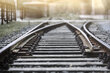 (c) Harald Biebel_Fotolia