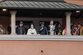 20230219_Faschingsumzug_Kundl_©_Philipp_Huber_002_low