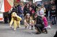 20230219_Faschingsumzug_Kundl_©_Philipp_Huber_087_low