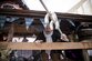 20230219_Faschingsumzug_Kundl_©_Philipp_Huber_171_low