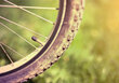 Symbolbild Nahaufnahme eines Fahrradreifens