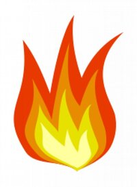 Logo Feuer