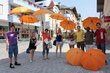 Mit orangen Regenschirmen und Flugblättern machten die Wörgler TeilnehmerInnen des Umbrella March 2013 Passanten in der Wörgler Innenstadt auf das Anliegen für besseren Flüchtingsschutz aufmerksam.