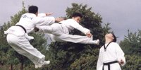 Taekwondo