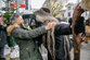 BER_05 12 17 (3)